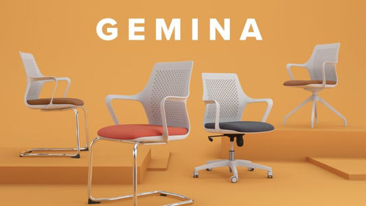 Introducing Gemina